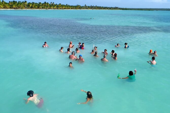 Saona Island: Full-day Catamaran Tour - Small Group - Who will enjoy this most