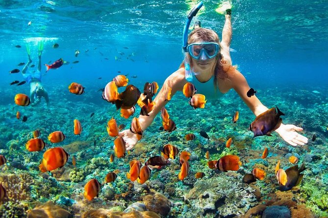 Saona Island Full Day Excursion from Punta Cana - Lunch is simple Dominican buffet food