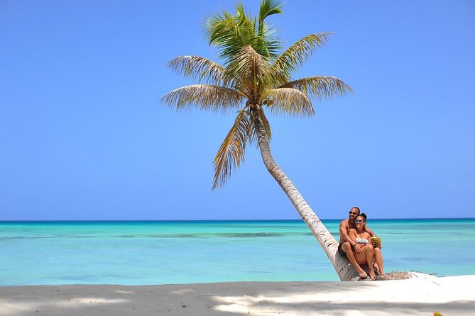 Saona Island Full Day Excursion from Punta Cana + Catamaran Party - Lunch, drinks, and the open-bar question
