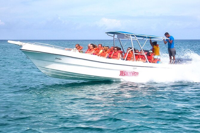 Saona Island Full Day Excursion from Punta Cana + Catamaran Party - Who should book this Saona Island trip