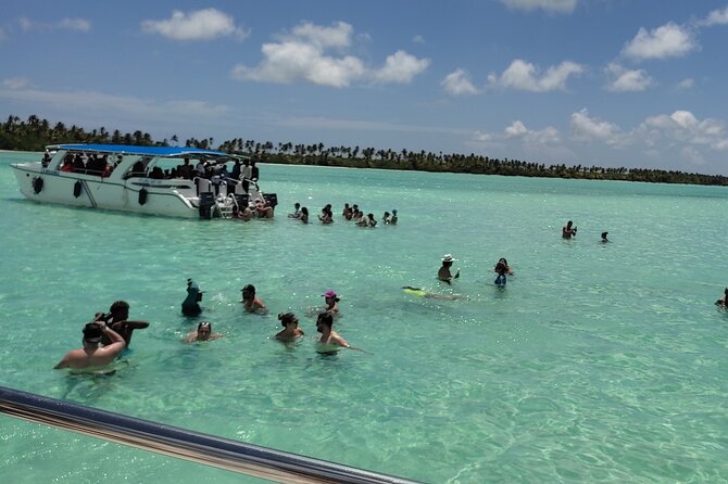 Saona Island Full Day From Punta Cana - Key points to know before booking