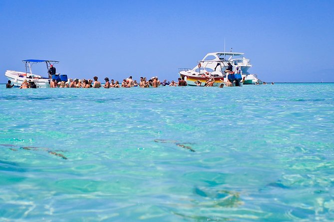 Saona Island Full Day From Punta Cana - Saona Island gives you the longest break