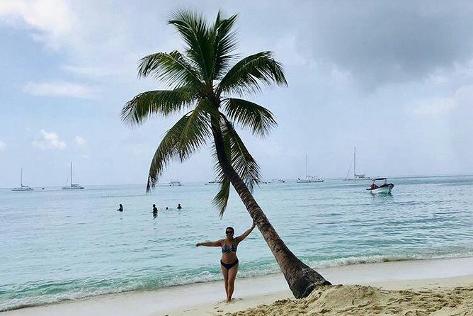 Saona Island Full Day From Punta Cana - Dominican buffet lunch and open bar
