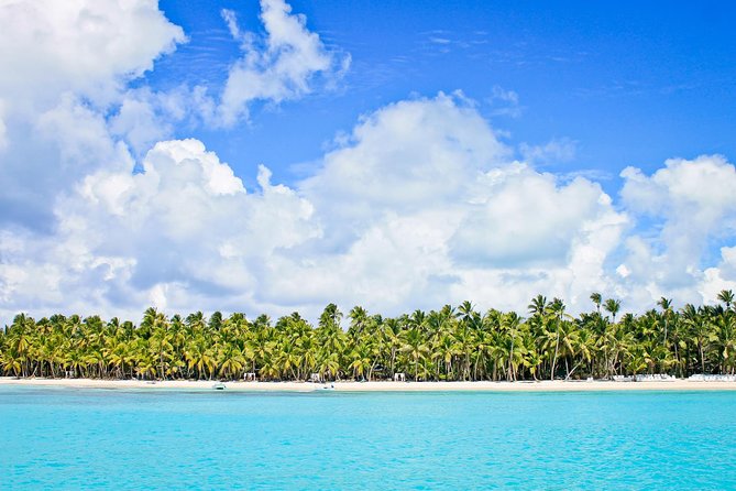 Saona Island Full Day From Punta Cana - Who will enjoy this Saona Island trip