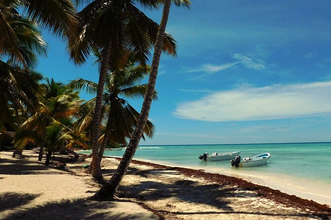 Saona Island Full-Day Tour from Las Terrenas with Lunch - The speedboat gets you moving toward Saona
