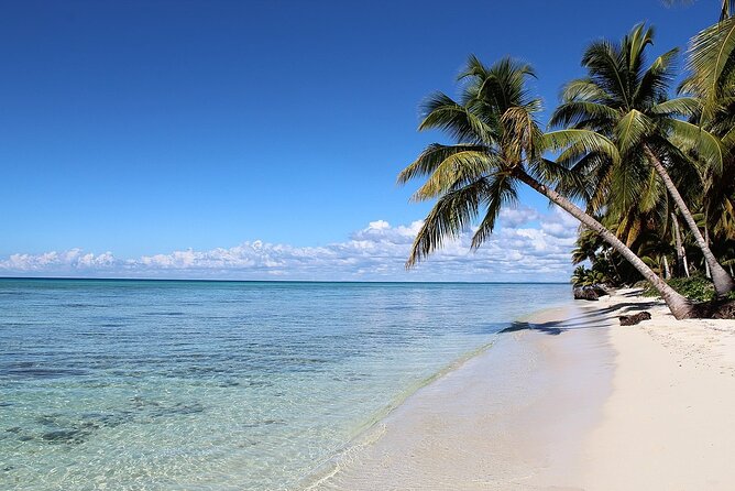 Saona Island Full-Day Tour from Las Terrenas with Lunch - Is $160 a fair price?