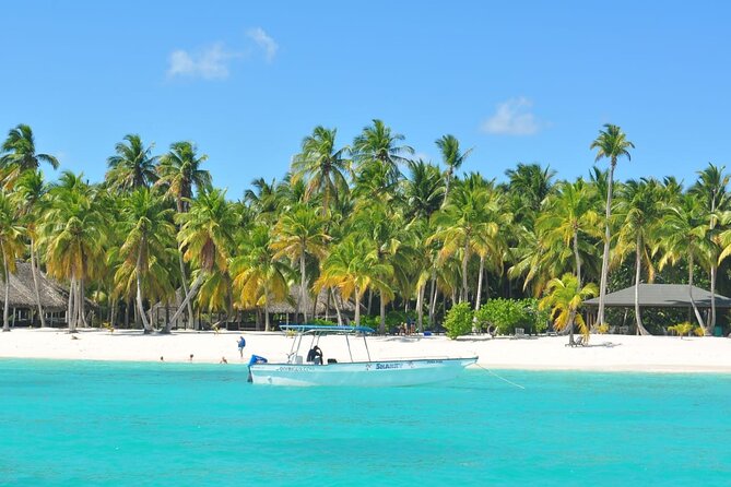Saona Island Full-Day Tour from Las Terrenas with Lunch - Who will enjoy this outing most?