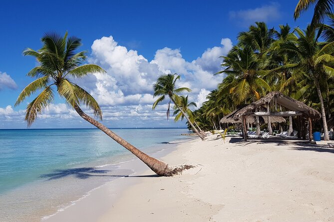 Saona Island Full-Day Tour from Las Terrenas with Lunch - Saona Island gives you the main beach break