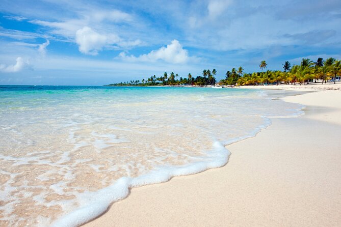 Saona Island Full-Day Tour from Punta Cana Bayahibe All Inclusive - Key points to know before you book