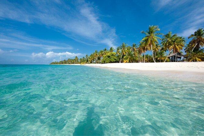 Saona Island Full-Day Tour from Punta Cana Bayahibe All Inclusive - The early pickup from Punta Cana and Bayahibe