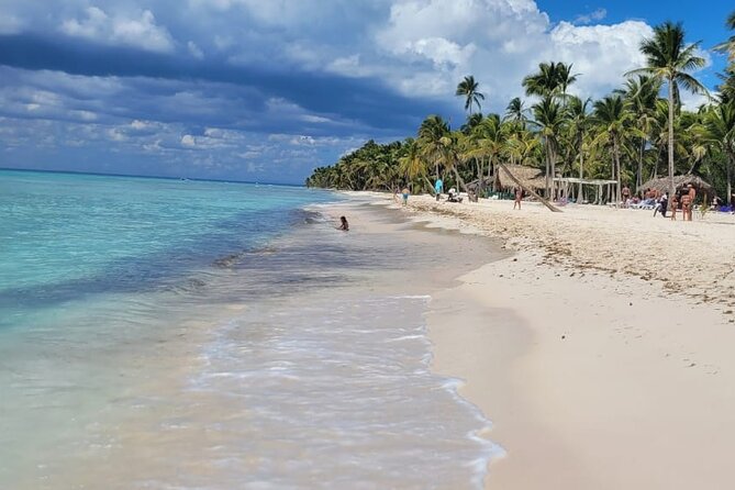 Saona Island Full-Day Tour from Punta Cana Bayahibe All Inclusive - The catamaran ride and seasonal wildlife