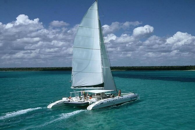 Saona Island Full Day Tour Lunch and Transportation Included - Key points to know before you book