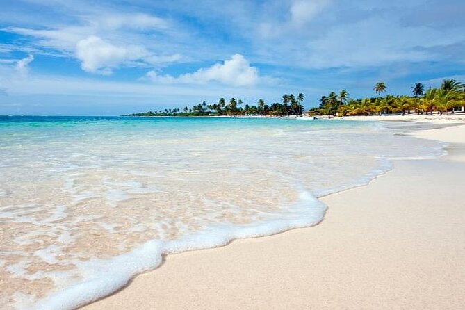Saona Island Full-Day Tour with Lunch from Punta Cana - Buffet lunch and the open bar