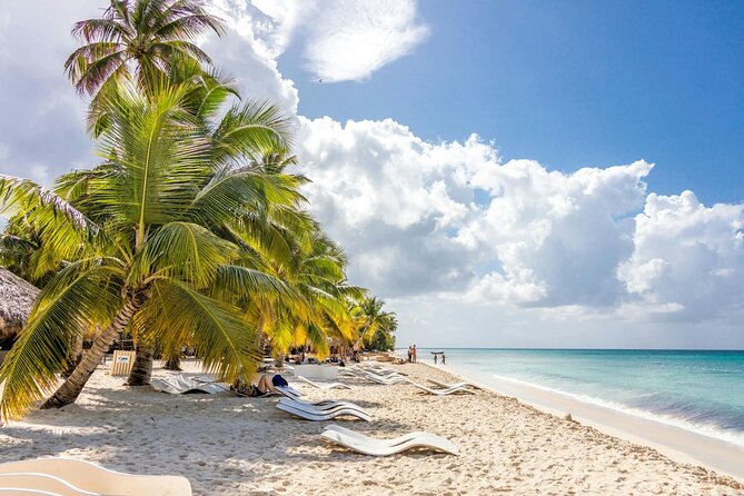Saona Island Full-Day Tour with Lunch from Punta Cana - Who will enjoy this day most?