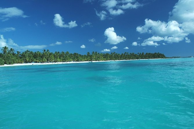 Saona Island Full-Day Tour with Lunch from Punta Cana - Catamaran out, speedboat back