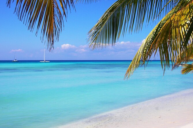 Saona island full day tours - catamarán party from santo domingo - How much value do you get for $90?