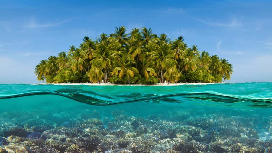 Saona Island: Hidden Beach & Natural Pool - Key points to know before booking