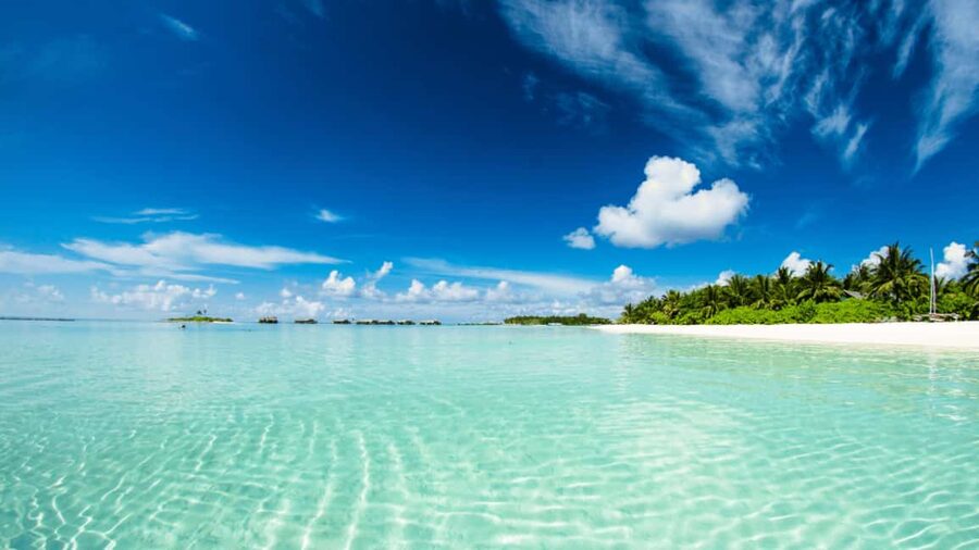 Saona Island: Hidden Beach & Natural Pool - The natural pool and snorkeling question