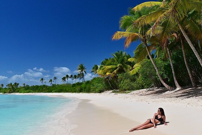 Saona Island, memorable all-inclusive experience, from Santo Domingo. - Key points to know before booking