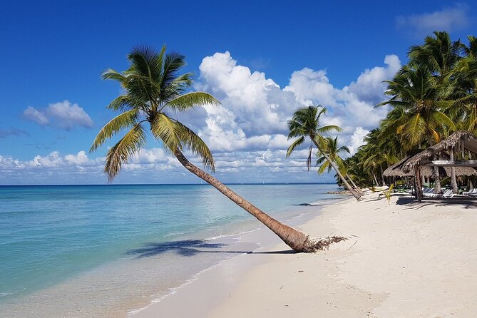Saona Island, memorable all-inclusive experience, from Santo Domingo. - Pickup from Santo Domingo and the road to Bayahibe