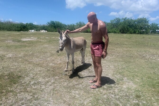 Saona Island Premium Discovery Tour from Punta Cana or Bayahíbe - Mano Juan, Saona’s only town