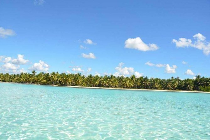 Saona Island Private +8 People Platinum Transfer - Why a private Saona Island day works so well