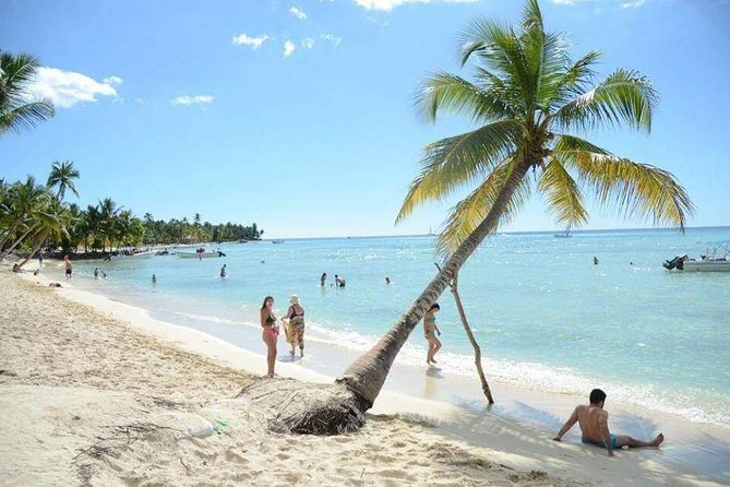 Saona Island Private +8 People Platinum Transfer - Saona Island and the private beach lunch