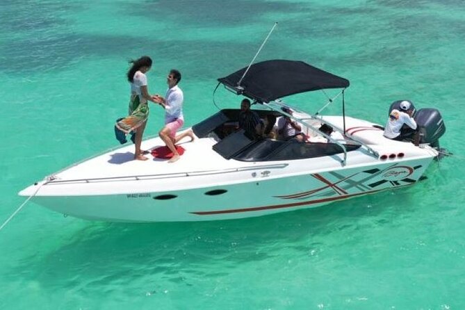 Saona island - Private Tour with a Luxury Speed Boat - Key points to know before booking