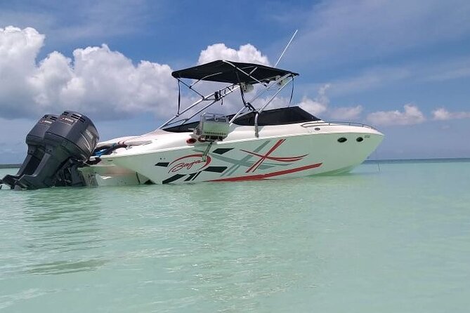 Saona island - Private Tour with a Luxury Speed Boat - Saona Island beach time for two hours