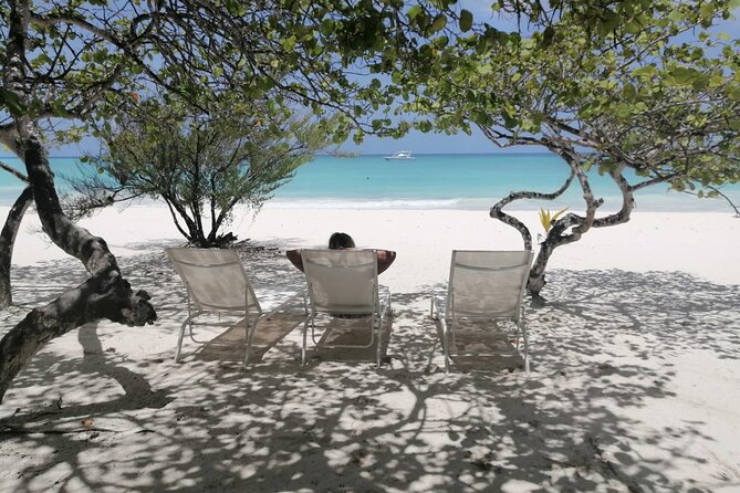 Saona island - Private Tour with a Luxury Speed Boat - What the crew adds to the day