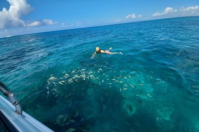 Saona island - Private Tour with a Luxury Speed Boat - Is $1,490 good value for six people?
