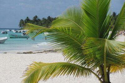 Saona Island small group and relax – luxury catamaran