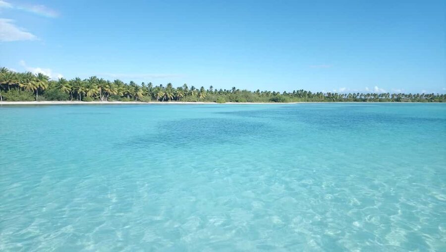 Saona Island: Small Group Virgin Beaches Cruise Day Trip - Who should book this Saona excursion?