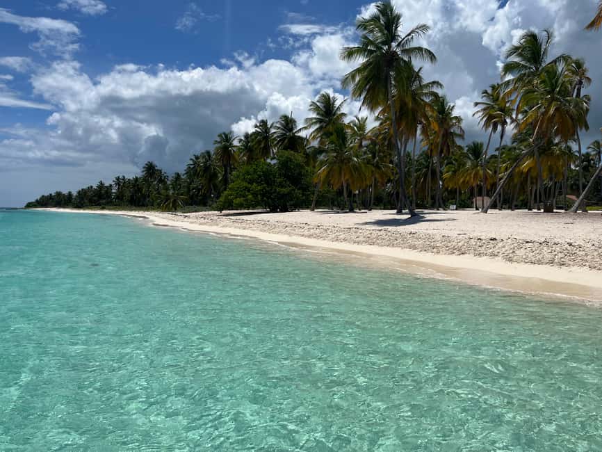 Saona Island: Small Group Virgin Beaches Cruise Day Trip - The natural pool and Saona’s starfish