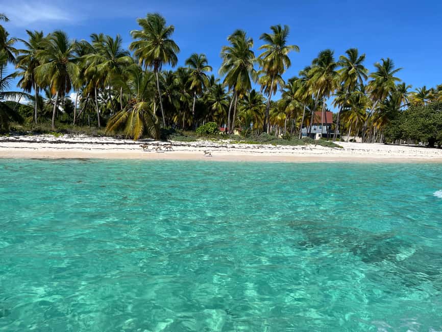 Saona Island: Small Group Virgin Beaches Cruise Day Trip - Mano Juan and its turtle nursery