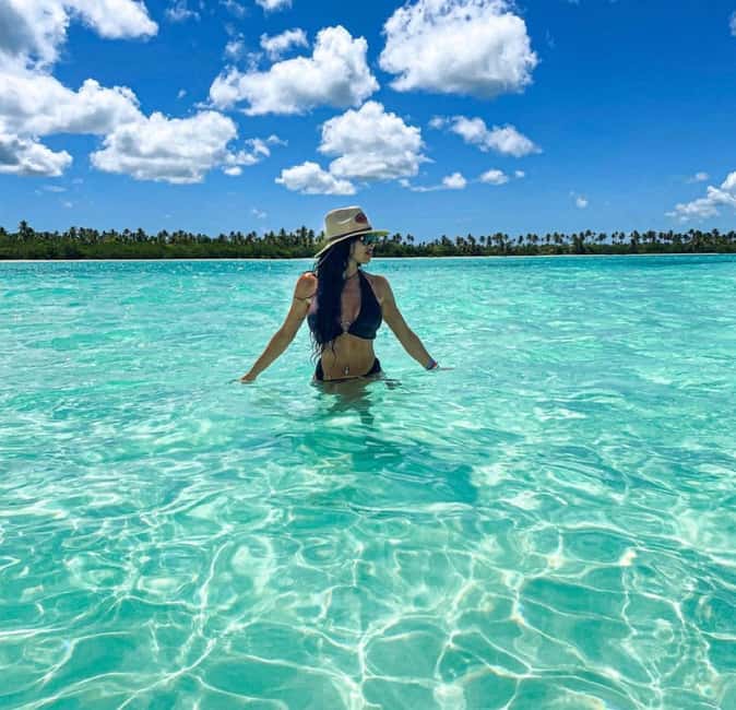 Saona Island Tour All Inclusive Speedboat and Catamaran - Who will enjoy this Saona day