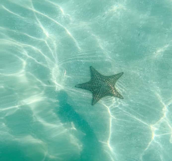 Saona Island Tour All Inclusive Speedboat and Catamaran - Practical ways to make the day easier