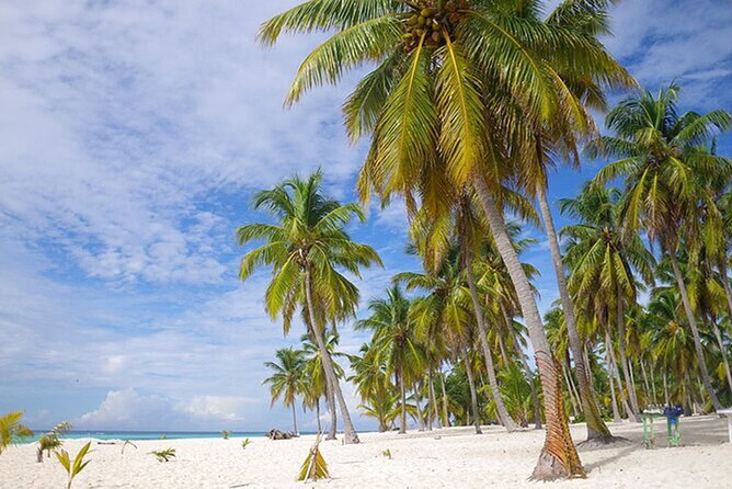 Saona Island Tour and Catamaran Party from Punta Cana - Lunch and the open bar keep the day easy