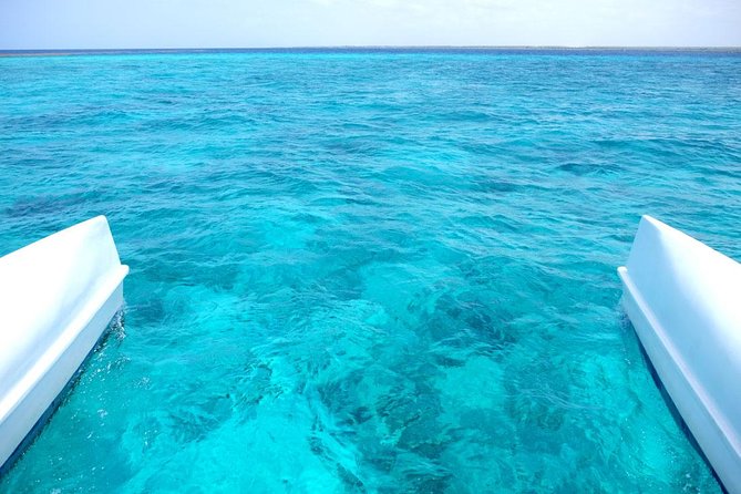 Saona Island Tour From Punta Cana - The 7:00 a.m. pickup from Punta Cana