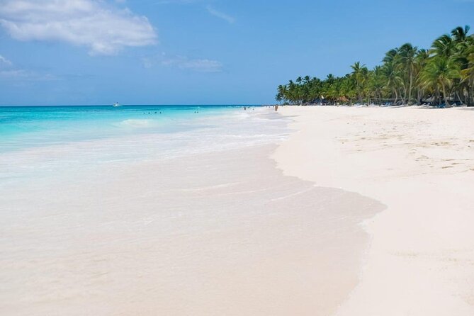 Saona Island Tour From Punta Cana - Who will enjoy this day most