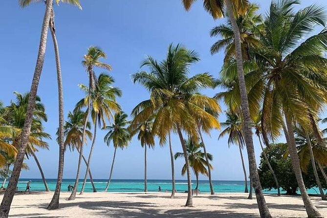 Saona Island Tour from Punta Cana All Inclusive - The road from Punta Cana to La Romana