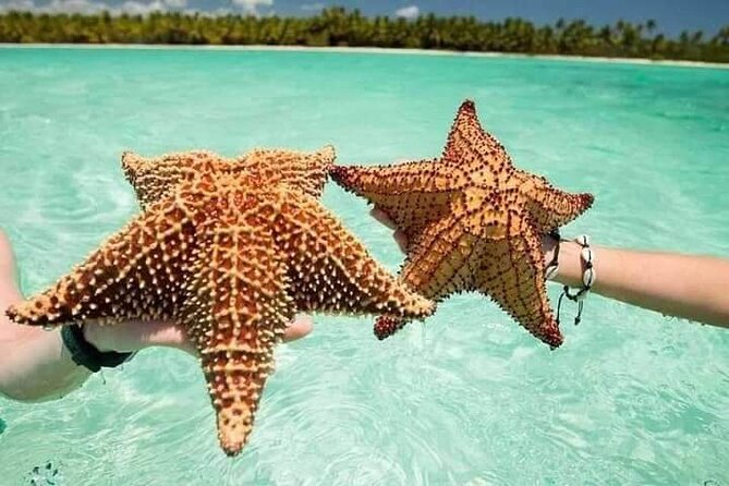 Saona Island Tour from Punta Cana All Inclusive - Catamaran music, drinks, and a faster boat