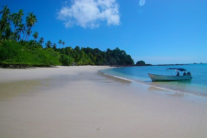 Saona Island Tour from Punta Cana with Lunch, Open Bar & Pickup - What the catamaran ride adds