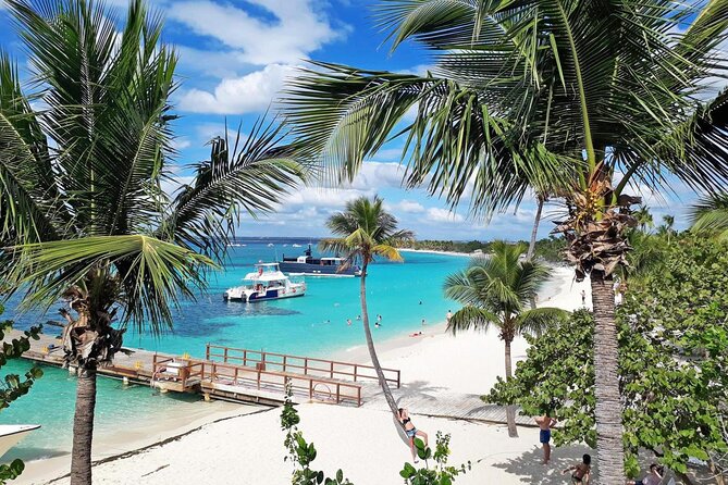 Saona Island Tour from Punta Cana with Lunch, Open Bar & Pickup - A closer look at the organization