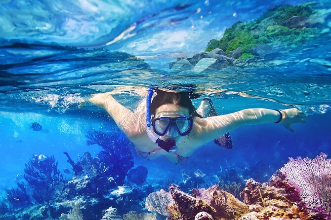 Saona Island Tour from Punta Cana with Lunch, Open Bar & Pickup - Who will enjoy this day most