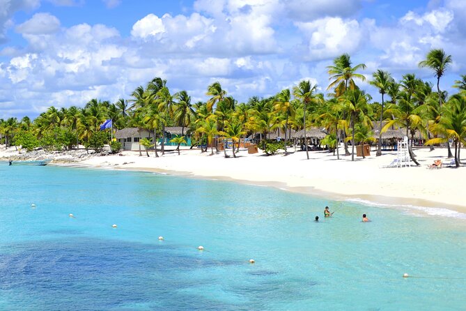 Saona Island Tour from Punta Cana with Lunch, Open Bar & Pickup - What to pack and how to handle the day