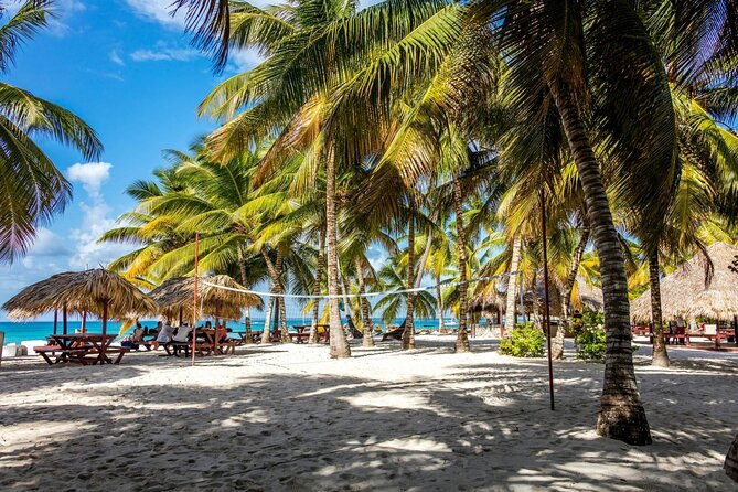 Saona Island Tour from Santo Domingo - Who should book this Saona Island tour?