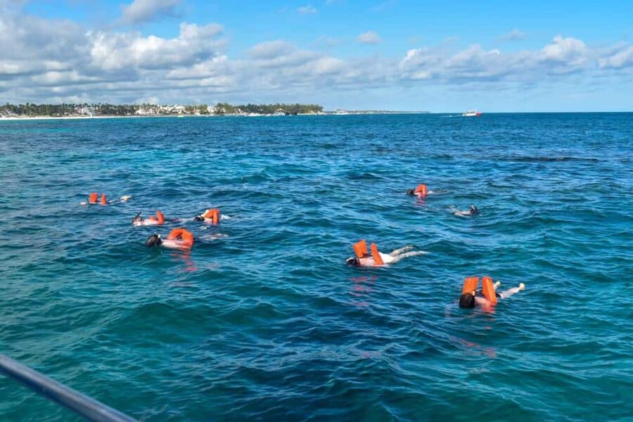 Saona Island Tour From Santo Domingo with Lunch and Pickup - What the $92 price really covers