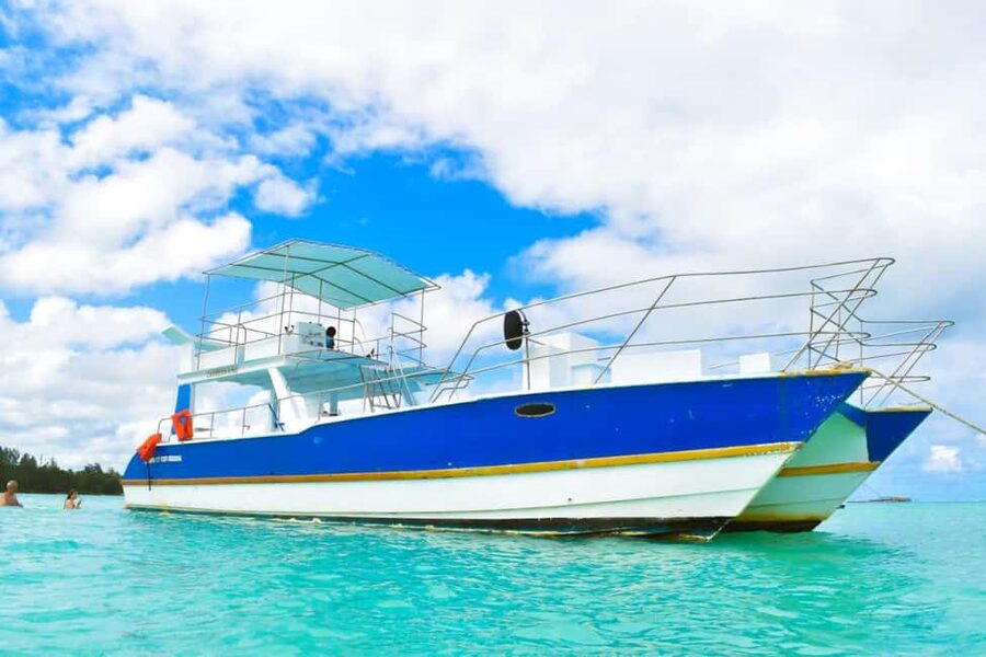 Saona Island Tour From Santo Domingo with Lunch and Pickup - Should you book this tour?