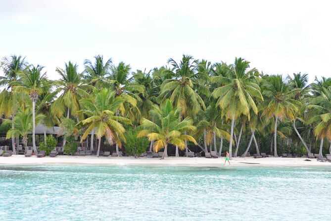 Saona Island Tour in Punta Cana - Guides, language, and group size